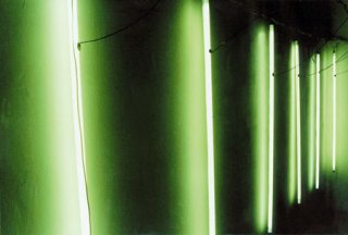 image of neonz installation